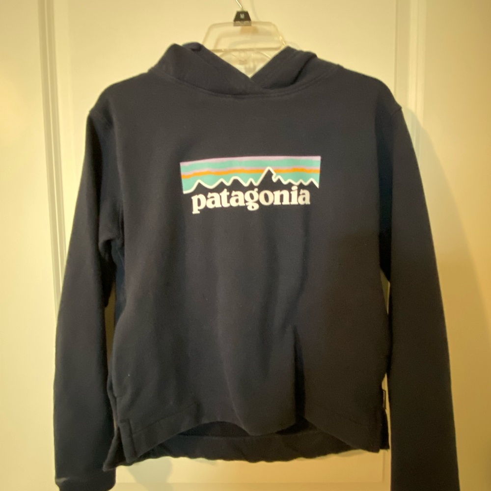 Patagonia Navy Pullover Hoodie with Multicolor Logo